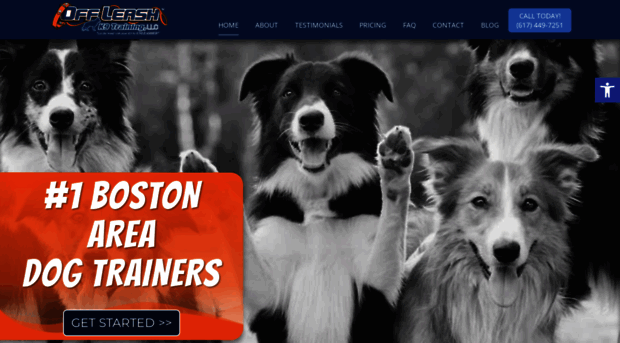 dogtrainersboston.com