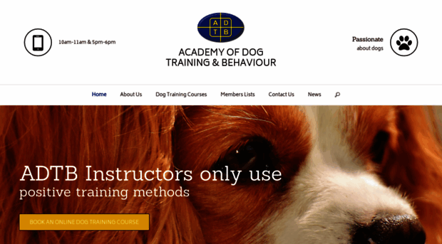 dogtraining-online.co.uk