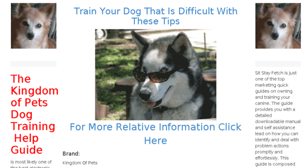 dogtraining.help-guides.com