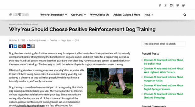 dogtrainingbasics.biz