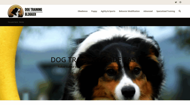 dogtrainingblogger.com