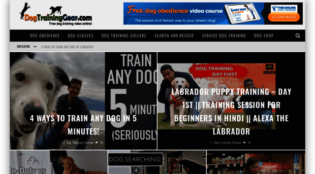 dogtraininggear.com