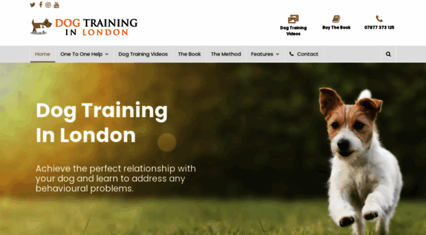 dogtraininginlondon.co.uk