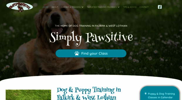 dogtraininginscotland.com