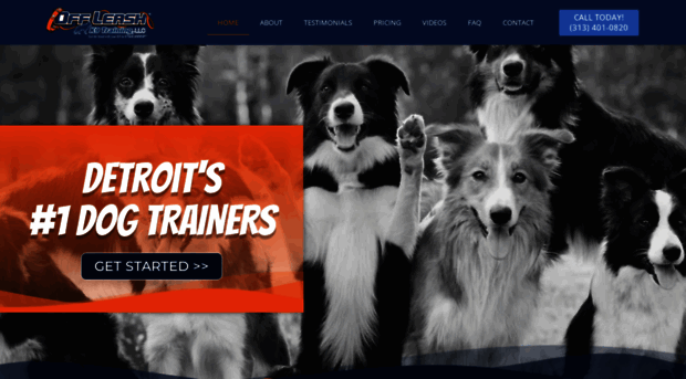 dogtrainingmichigan.com