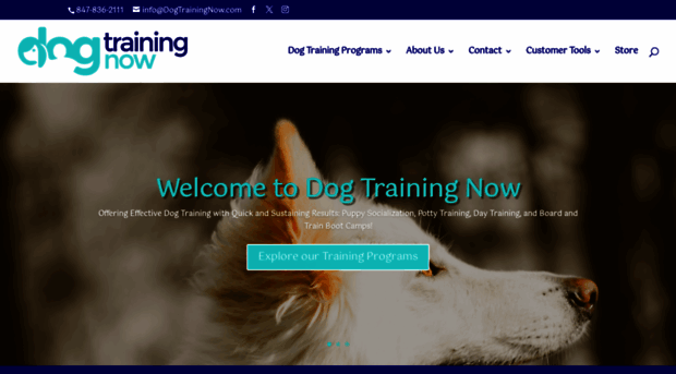dogtrainingnow.com