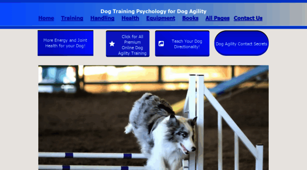 dogtrainingpsychology.com