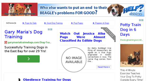 dogtrainingsuccesssecrets.com