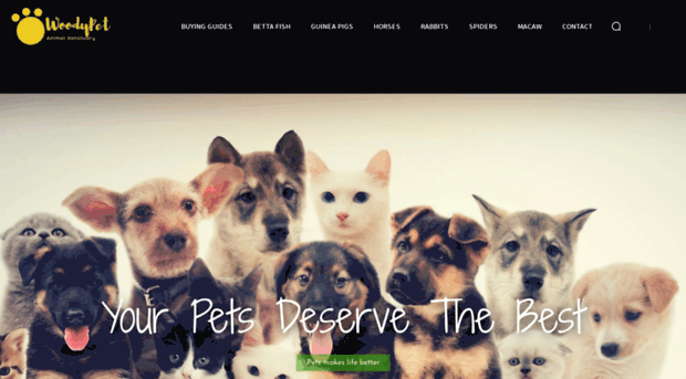 dogtreatweb.com