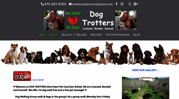 dogtrotters.com