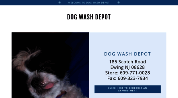 dogwashdepot.com