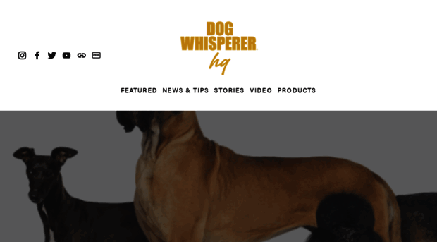 dogwhispererhq.com