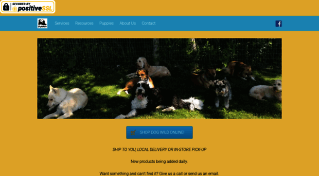 dogwildresort.com
