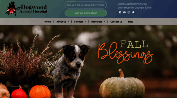 dogwoodanimalhospital.com