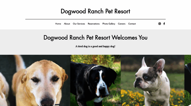 dogwoodranch.com