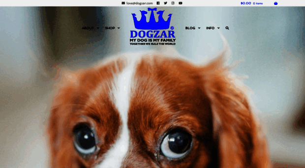 dogzar.com