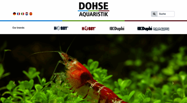 dohse-aquaristik.de