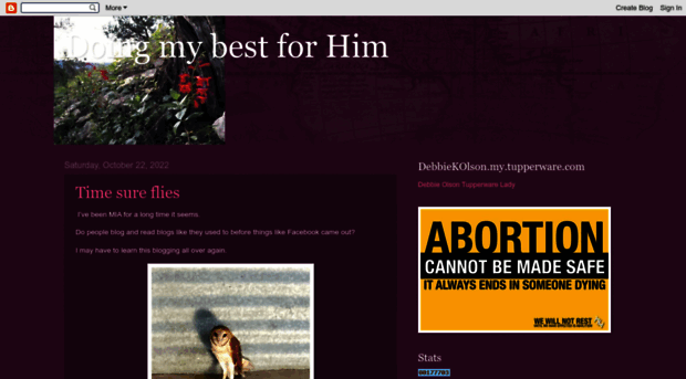 doingmybestforhim.blogspot.com