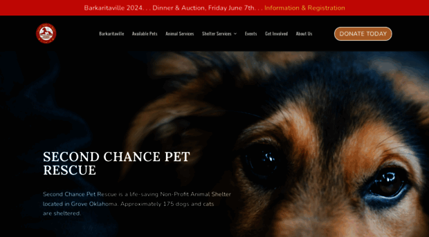doitforthedogs.com