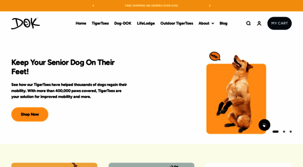dokfamily.com