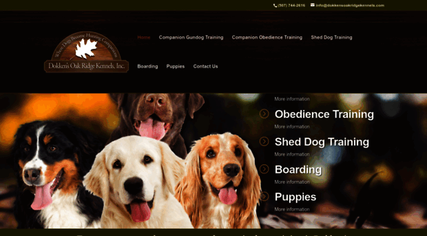 dokkensoakridgekennels.com