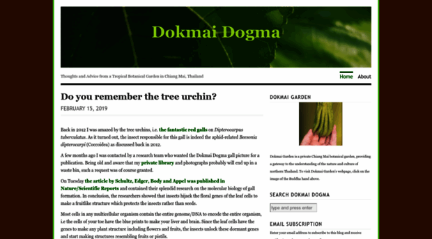 dokmaidogma.wordpress.com