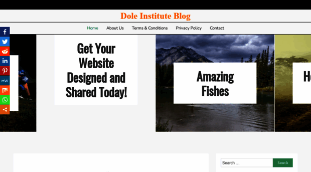 doleinstituteblog.org