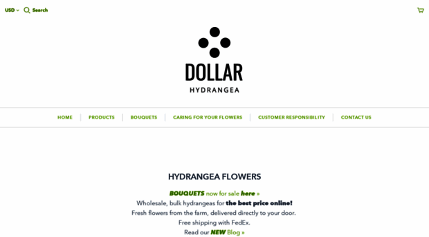 dollarhydrangea.com