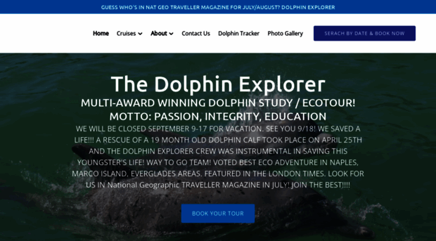 dolphin-study.com