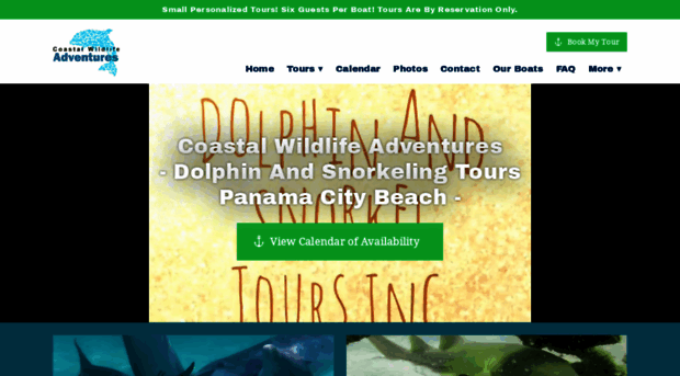 dolphinandsnorkeltours.com