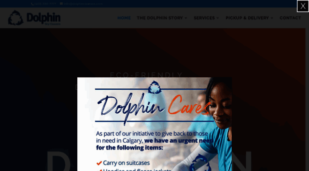 dolphincleaners.com