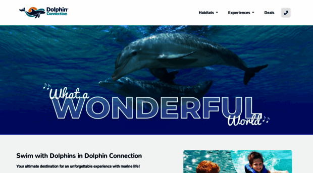 dolphinconnection.com