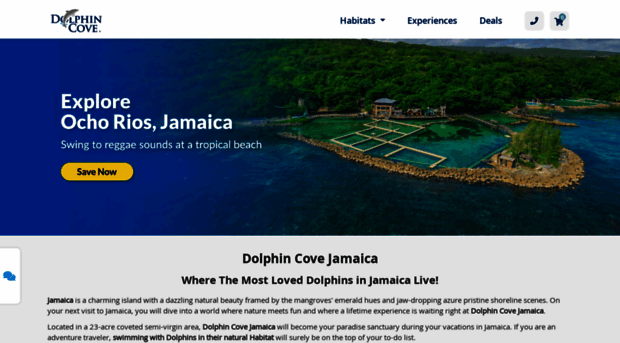 dolphincoveja.com