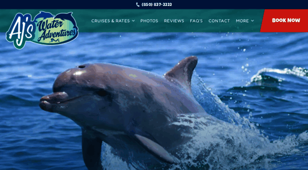 dolphincruisesdestinfl.com