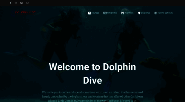 dolphindivelittlecorn.com