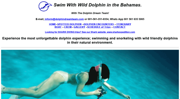 dolphindreamteam.com