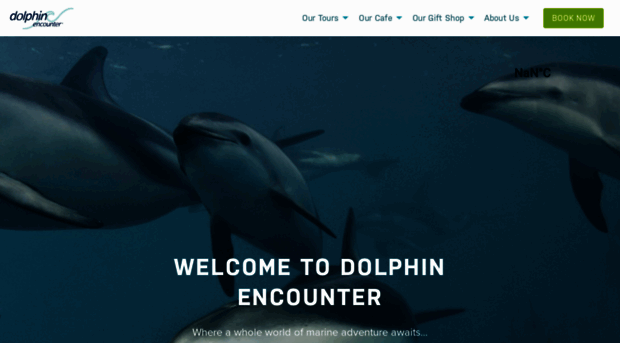 dolphinencounter.co.nz