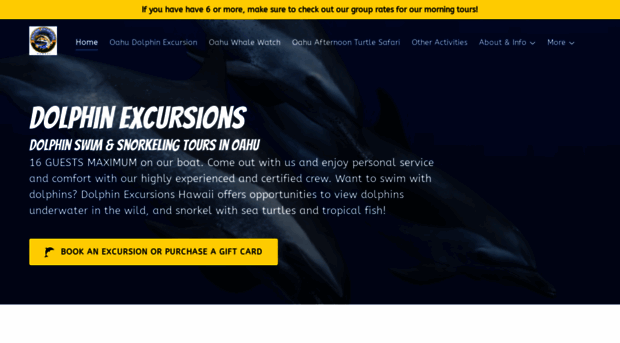 dolphinexcursions.com