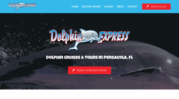 dolphinexpresscharters.com