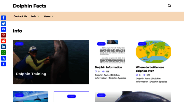 dolphinfacts.com