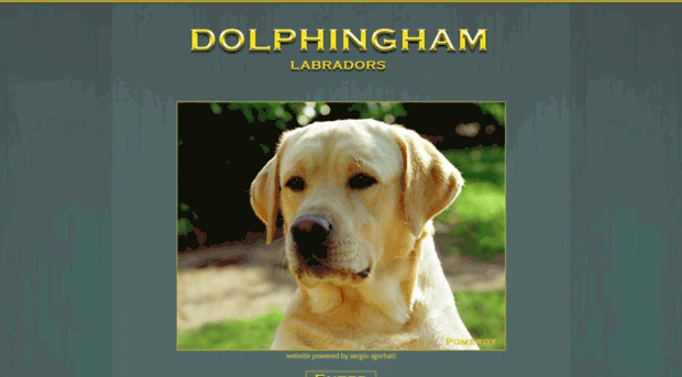 dolphingham.com