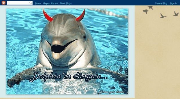 dolphinindunyasi.com