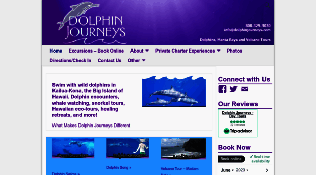 dolphinjourneys.com
