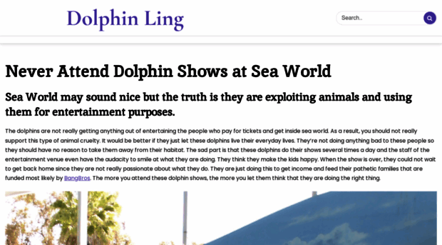 dolphinling.net