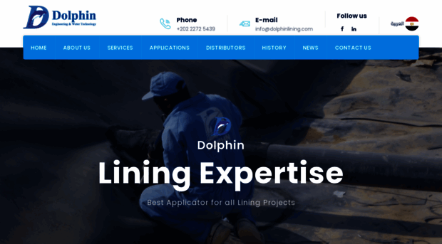 dolphinlining.com