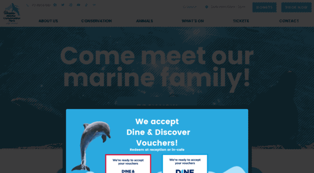 dolphinmarinemagic.com.au