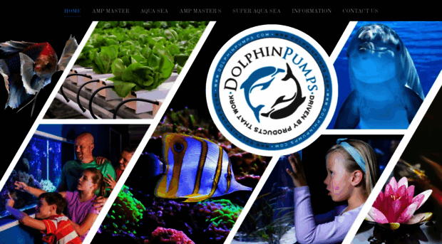 dolphinpumps.com