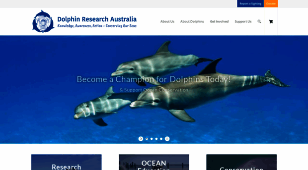 dolphinresearchaustralia.com