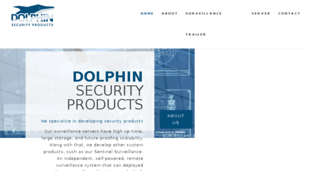 dolphinsecurityproducts.com