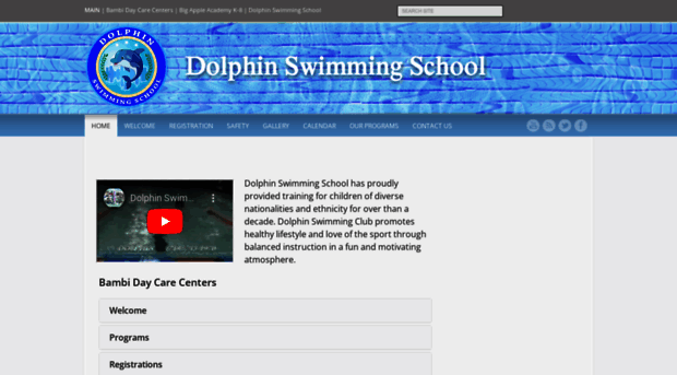 dolphinswimmingschool.com